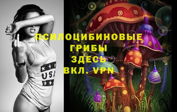 бошки Слюдянка