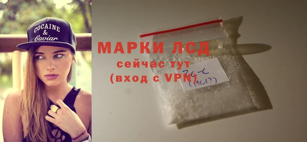 молекула духа Снежинск